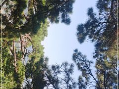 -香山公园