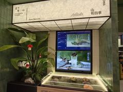 -芸山季·云南山珍菌火锅(南翔印象城MEGA店)