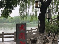 -济南大明湖景区