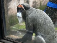 -昆明动物园