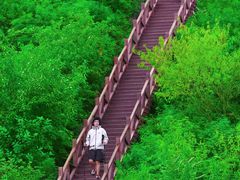 -大岭沟猕猴桃谷风景区
