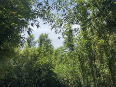 -黄公望隐居地
