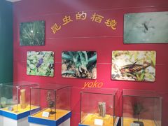 -上海昆虫博物馆