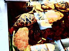 -盒马鲜生(大成店)