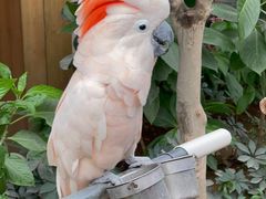 -南宫五洲植物乐园