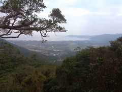 -三亚亚龙湾人间天堂鸟巢度假村
