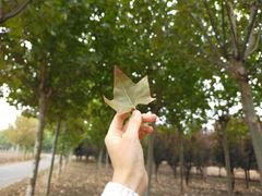 -河南师范大学(主校区)