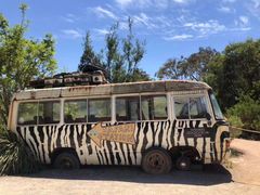 -威勒比开放式动物园