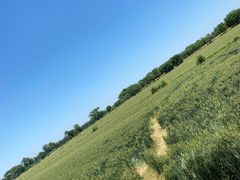 -西青郊野公园