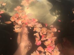 -宁海森林温泉