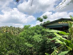-万兴启丰椰子文化园餐厅