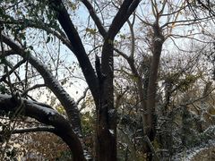 -大蜀山国家森林公园