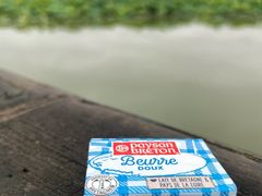 -月湖风景区