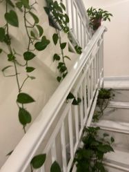 -金都微美·精准护肤·疗愈SPA