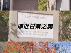 -白水寺森林公园