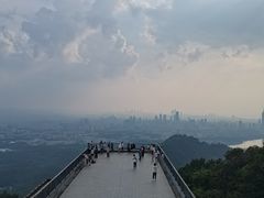 -紫金山山顶公园