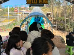 -盈香心动乐园