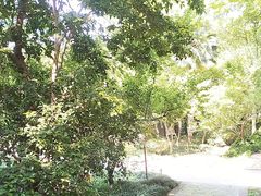 -赭山公园
