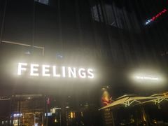 -FEELINGS(亚新广场店)