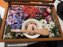 -芸山季·云南野生菌火锅(南翔印象城MEGA店)