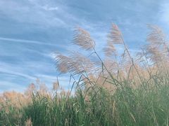 -抚仙湖禄充风景区