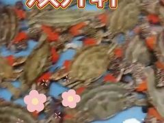 -双井轩(双井店)