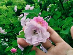 -南京航空航天大学(明故宫校区)