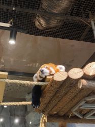 -Zoolung Zoolung动物主题公园(海信广场店)