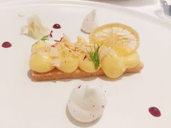 -蝶舍·MAISON PAPILLON