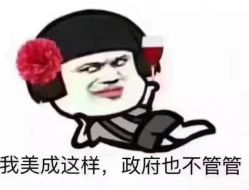 -花师傅