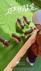 -萌宠亲子动物乐园(槐房万达店)