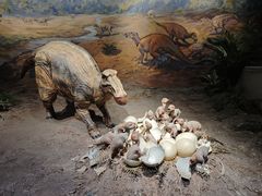 -自贡恐龙博物馆