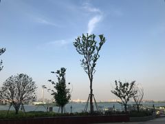 -1点点(苏州中心店)