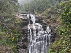 -海南热带雨林国家公园吊罗山景区