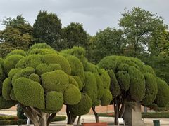 -丽池公园