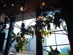 -薇酌饮·陕西菜(南门外店)