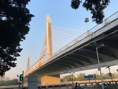 -Silly Dog Coffee(滨江店)