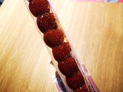 -和禄德冰糖葫芦