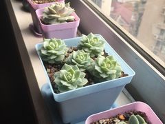 -魔方剧情密室(徐汇店)