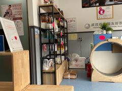 -伟伟宠物医院·瑞派猫友好医院·猫科(光谷店)