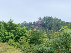 -火炉山森林公园