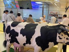 -红星前进面包牛奶公司(君太店)