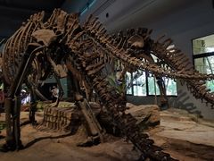 -自贡恐龙博物馆