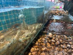 -北戴河东海水浴场