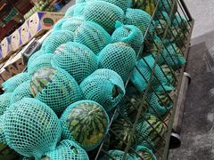 -双福水果批发市场