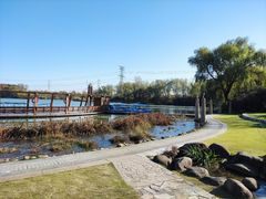 -昆山城市生态森林公园