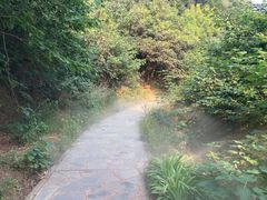 -北京西山国家森林公园