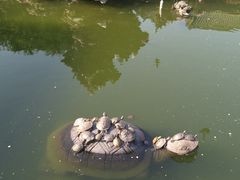 -六祖寺