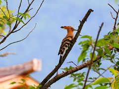 -崇圣寺三塔文化旅游区