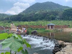 -广州市石门国家森林公园